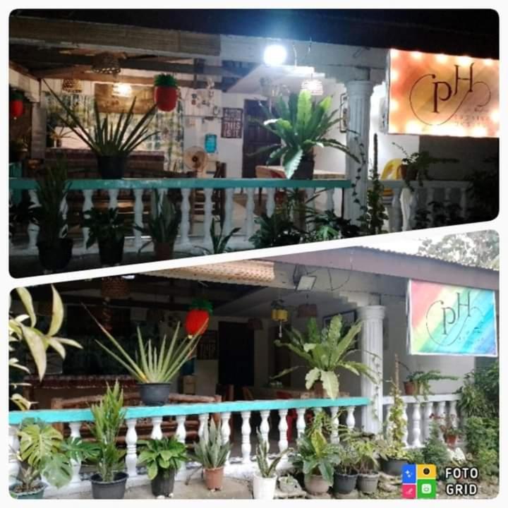 Paraiso Hostel Moalboal Buitenkant foto